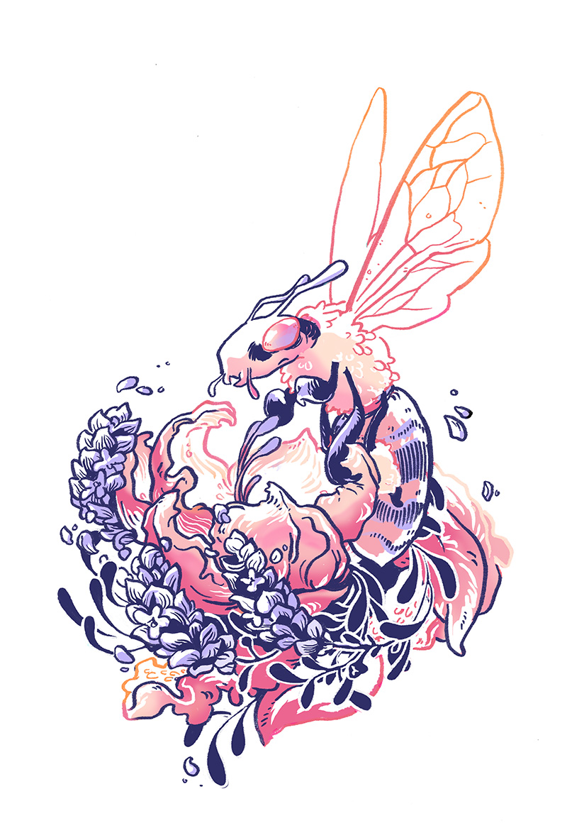 Honeybee & Lavender